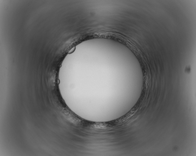 X0000090900668200707301012