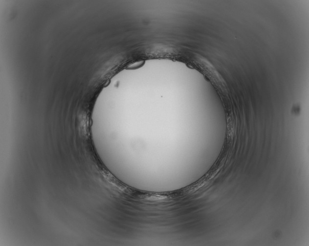 X0000090900669200707301012