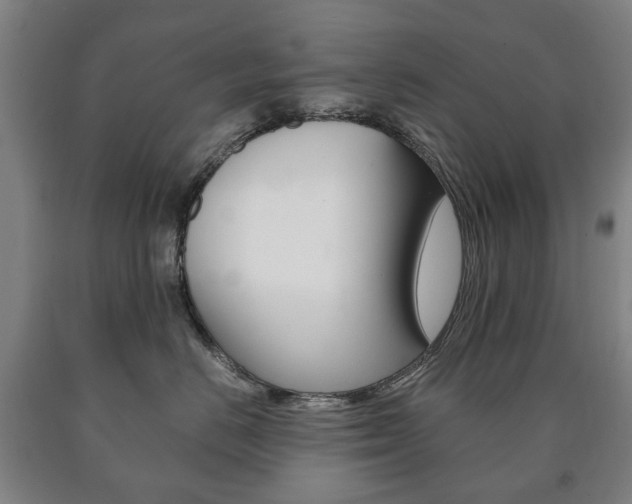 X0000090900670200707301012