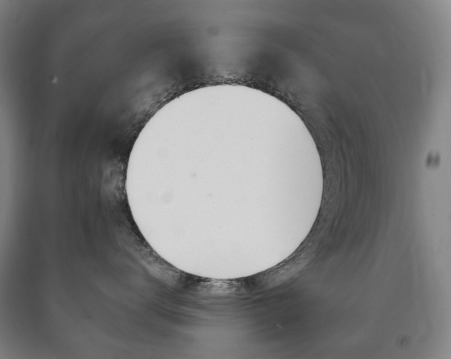X0000090900672200707301012