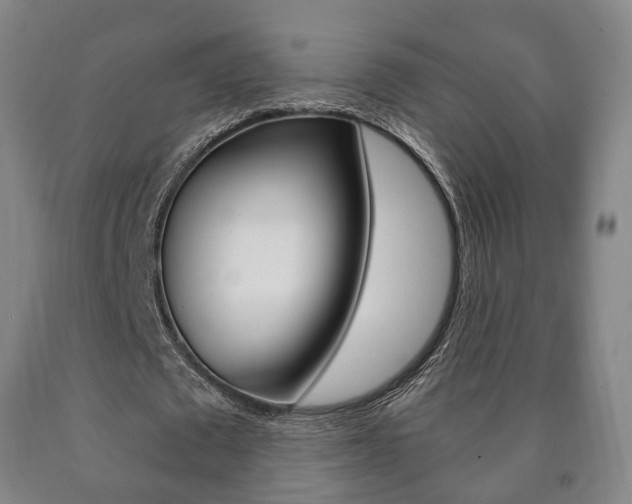 X0000090900673200707301012