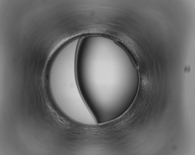 X0000090900676200707301012