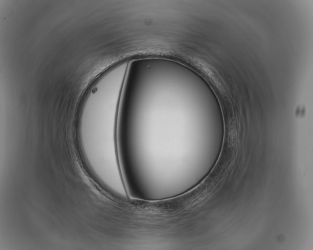 X0000090900677200707301012