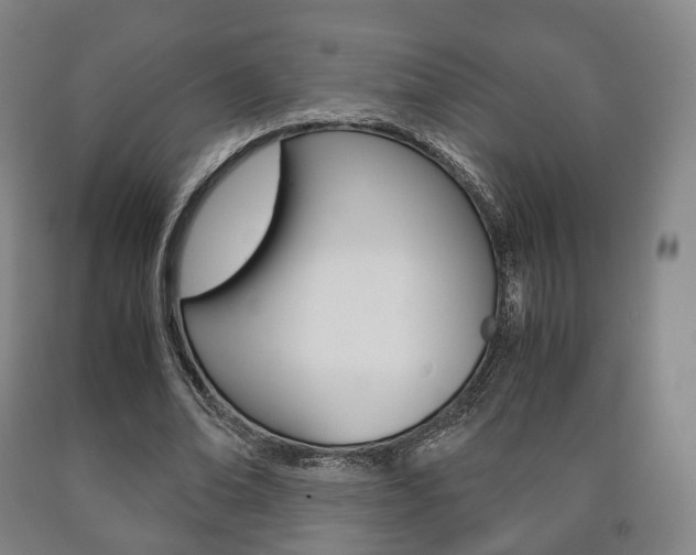 X0000090900678200707301012