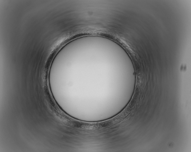 X0000090900679200707301012