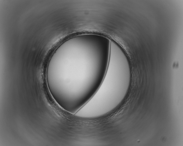 X0000090900680200707301012