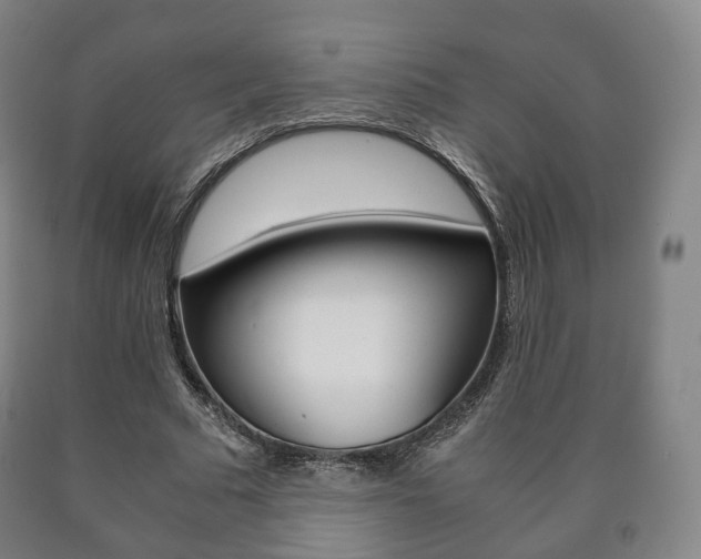 X0000090900681200707301012