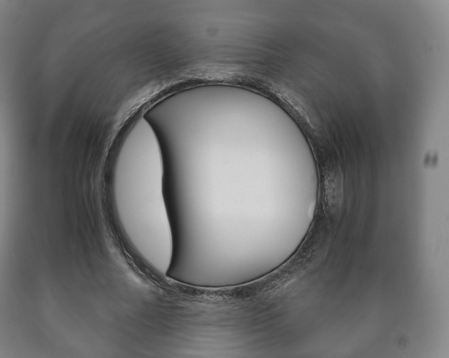 X0000090900682200707301012