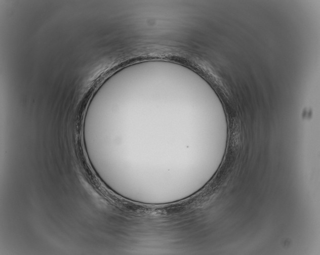 X0000090900683200707301012