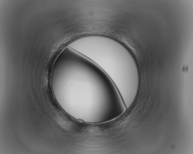 X0000090900685200707301012