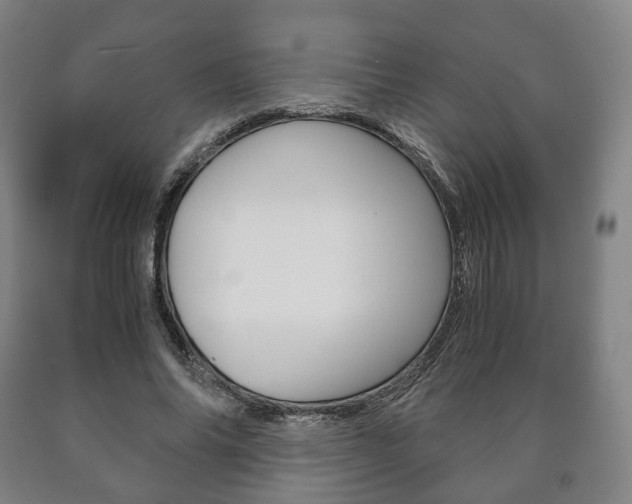 X0000090900686200707301012
