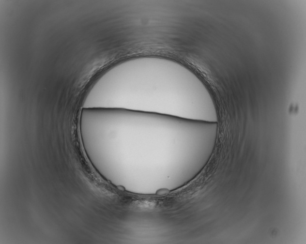 X0000090900687200707301012
