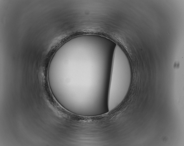 X0000090900688200707301012