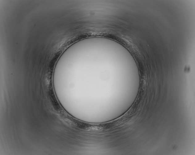 X0000090900691200707301012