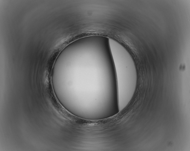 X0000090900692200707301012