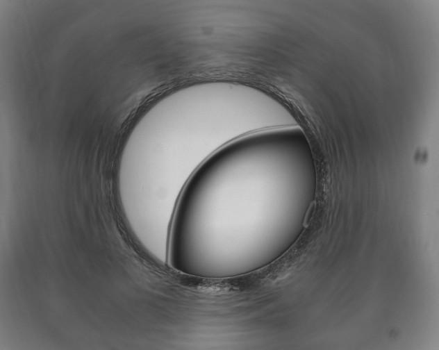 X0000090900693200707301012