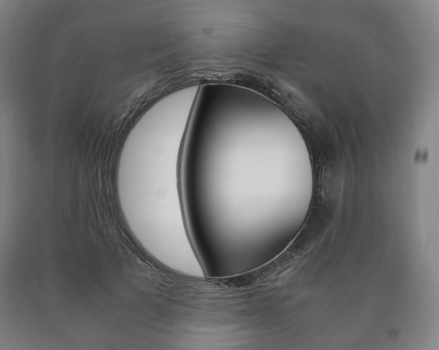 X0000090900697200707301012