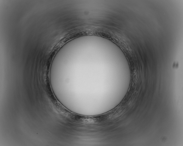 X0000090900698200707301012