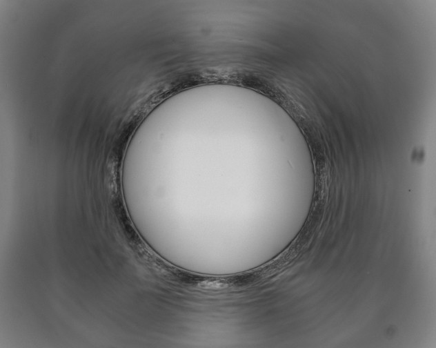 X0000090900699200707301012