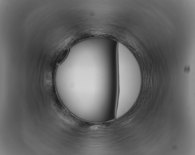 X0000090900700200707301011