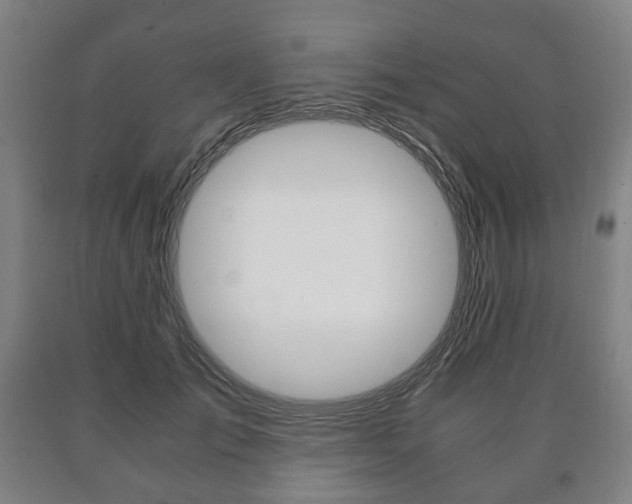 X0000090900701200707301011