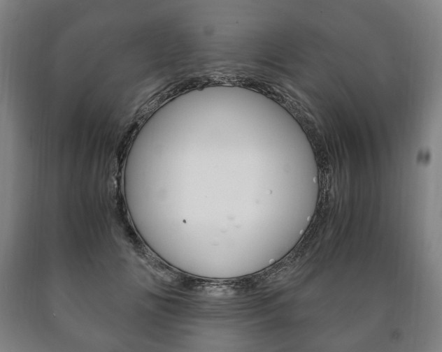 X0000090900702200707301011