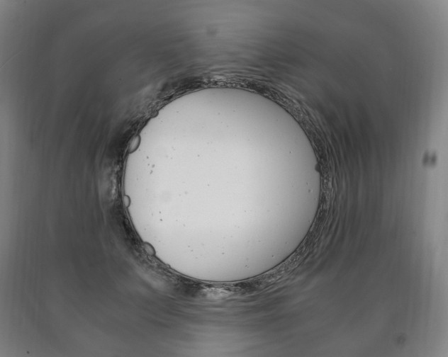 X0000090900703200707301011