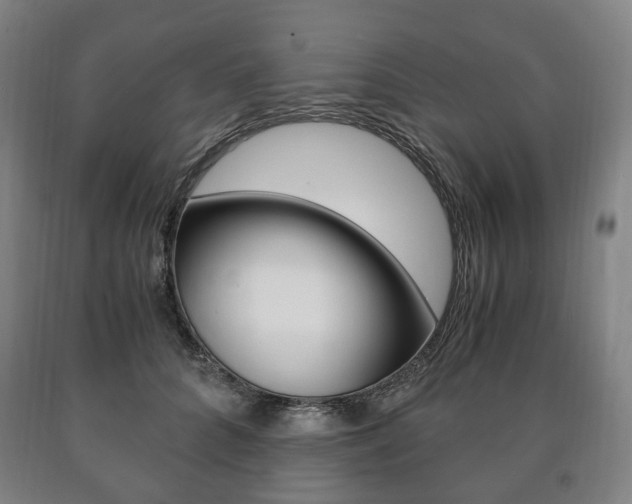 X0000090900704200707301011