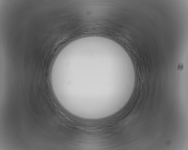 X0000090900705200707301011
