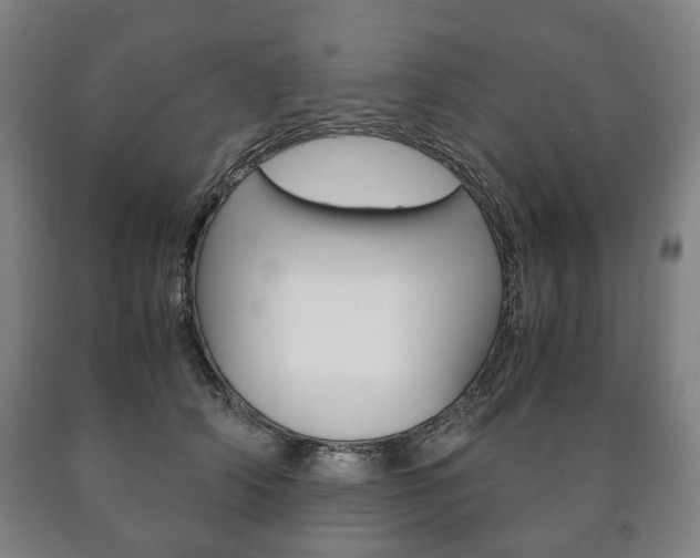 X0000090900706200707301011