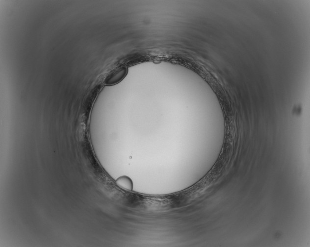X0000090900707200707301011