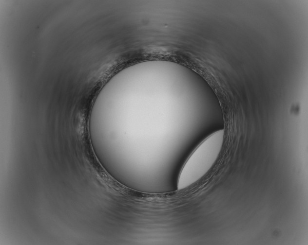 X0000090900708200707301011