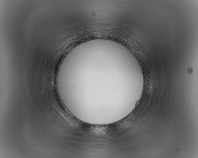 X0000090900710200707301011
