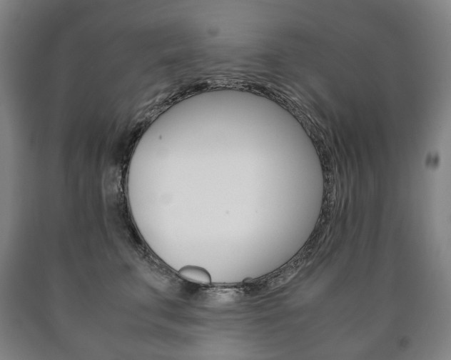 X0000090900711200707301011