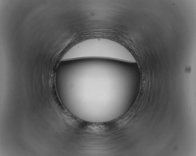 X0000090900712200707301011