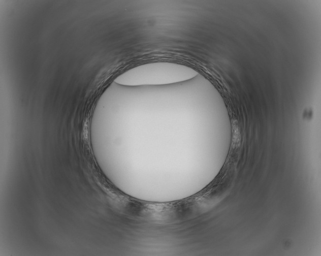 X0000090900713200707301011