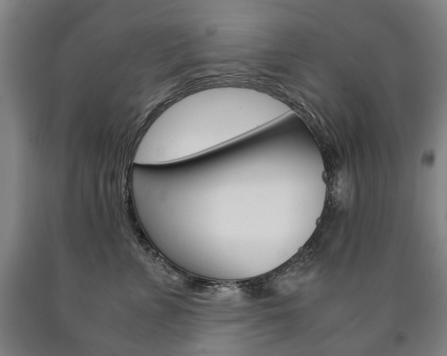 X0000090900715200707301011