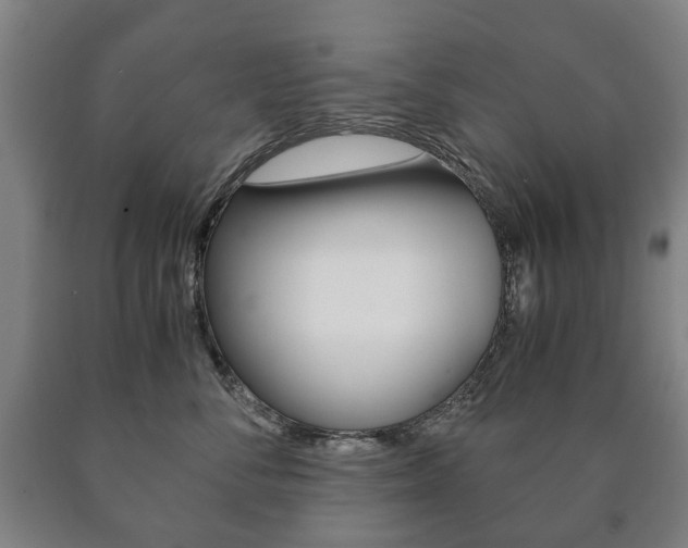 X0000090900716200707301011