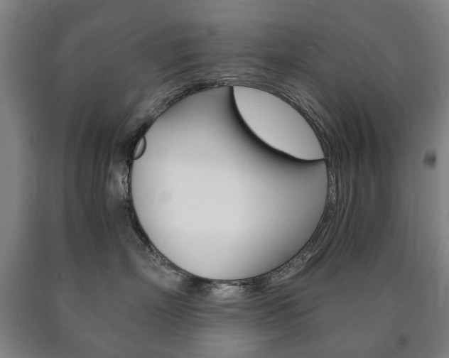 X0000090900718200707301011