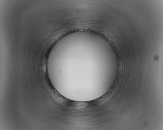 X0000090900719200707301011