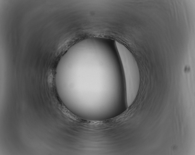 X0000090900720200707301011