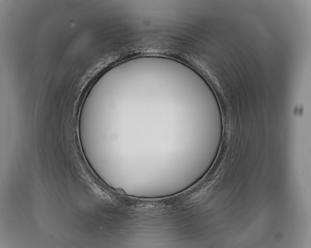 X0000090900721200707301010