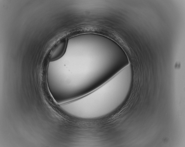 X0000090900722200707301010