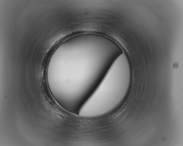 X0000090900723200707301010