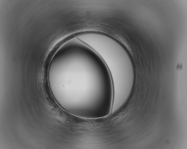 X0000090900724200707301011