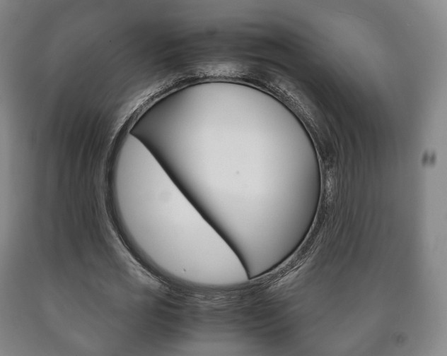 X0000090900725200707301011