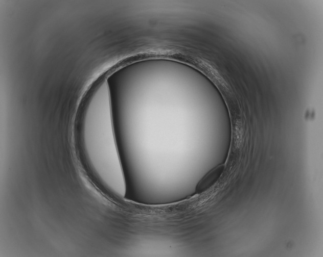 X0000090900726200707301011