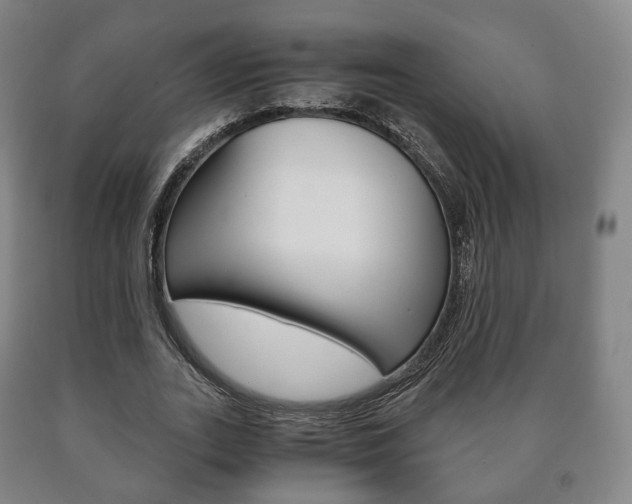 X0000090900727200707301011