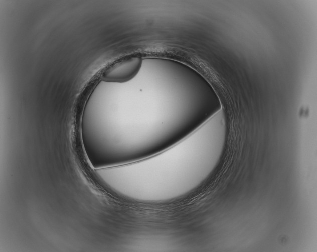 X0000090900728200707301011