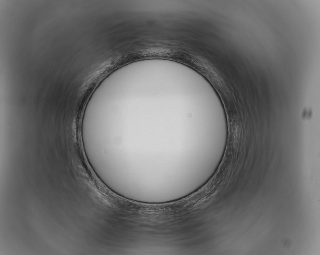 X0000090900729200707301011